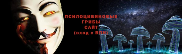 эйфоретик Козельск