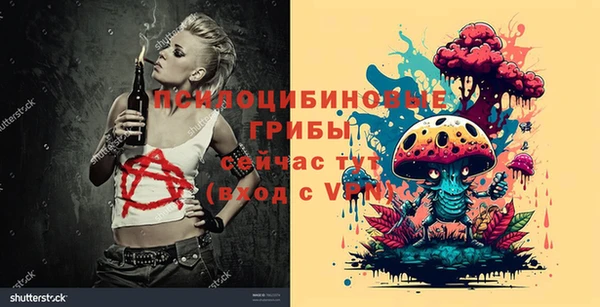 прущие крисы Кодинск
