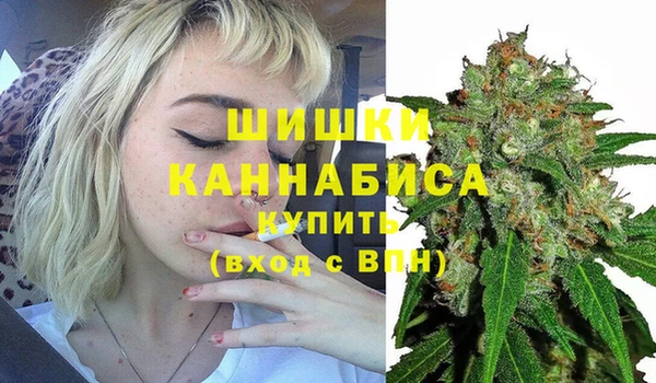 прущие крисы Кодинск